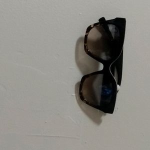 cheetah Glasses 🕶️